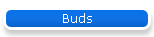 Buds