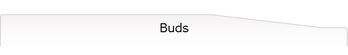 Buds