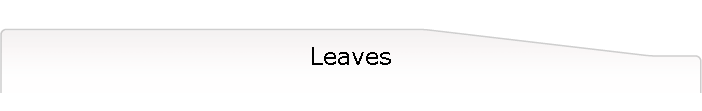 Leaves