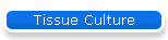 Tissue Culture
