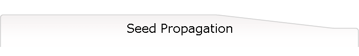 Seed Propagation