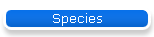 Species